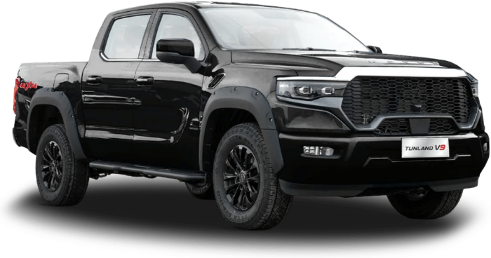 FOTON Tunland V9